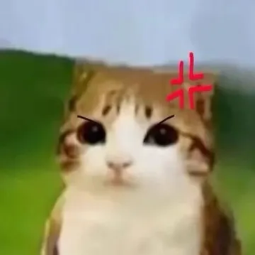 猫头鹰小猫表情包