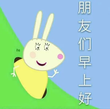 一波小猪佩奇表情包