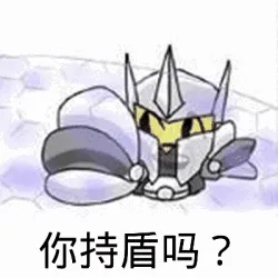 你持盾吗