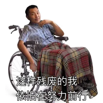 这样残废的我依旧在努力前行（高铁男子） - 近期斗图表情包精选-2018-8-25