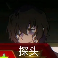 探头