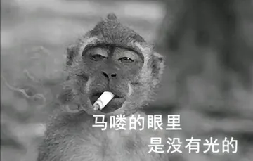吗喽表情包 吗喽猴子搞笑图