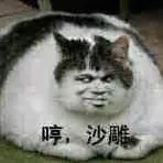 哼.沙雕