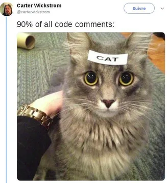 Remember To Comment