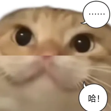 无名哈基米