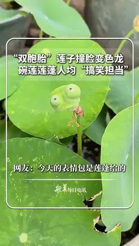 视频丨双胞胎莲子撞脸变色龙，网友：今天的表情包是莲蓬给的