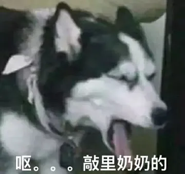 呕..敲里奶奶的