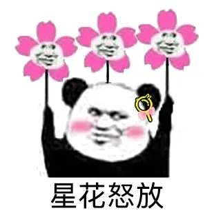 星花怒放