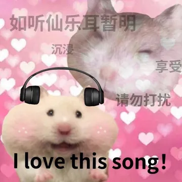 如听仙乐耳暂明沉浸享受请勿打扰I love this song!(鼠鼠表情包)