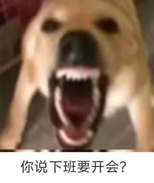 职场怼人必备表情包
