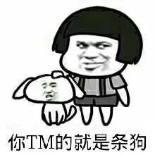 你TM的就是条狗