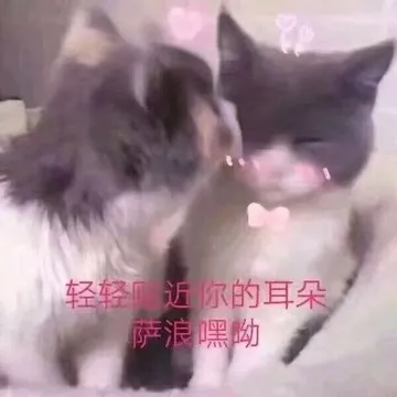 轻的耳朵黑呦