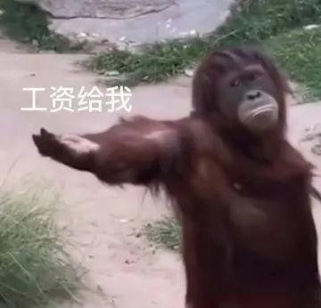 工资给我