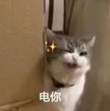 电你