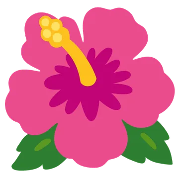芙蓉