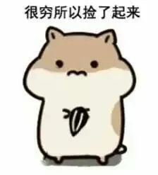 得穷所以捡了起来