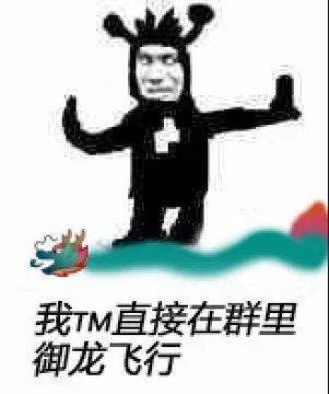 我TM直接在群里御龙飞行（鬼火表情包）