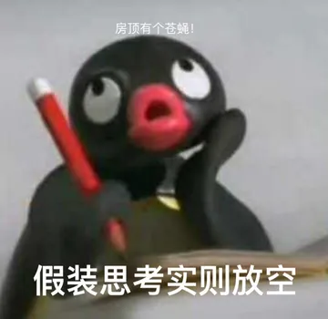房顶有个苍蝇，假装思考实则放空