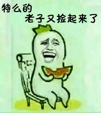 特么的，老子又捡起来了