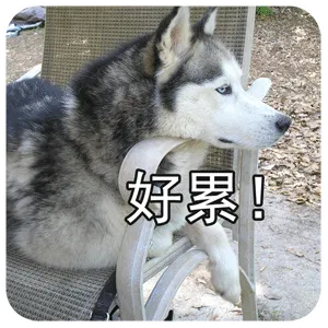 好累！