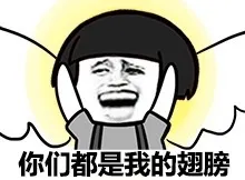 你们都是我的翅膀