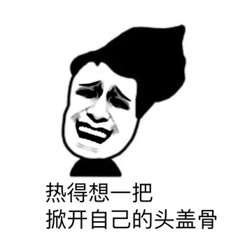 热得想一把掀开自己的头盖骨
