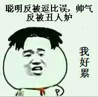 聪明反被逗比误，帅气反被丑人妒（我好累）