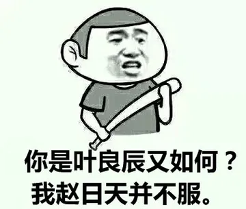 你是叶良辰又如何？我赵日天并不服。