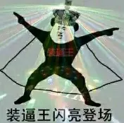 装逼王闪亮登场