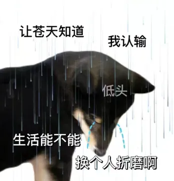 让苍天知道我认输低头生活能不能换个人折磨啊
