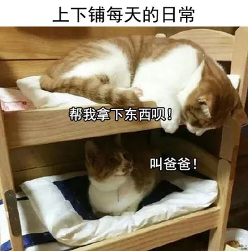 学校宿舍里的日常，和舍友的对话简直了