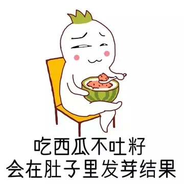 吃西瓜不吐籽会在肚子里发芽结果