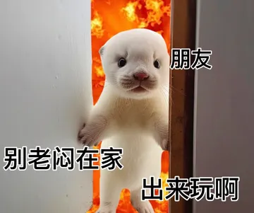 朋友别老闷在家出来玩啊