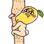 抱大腿