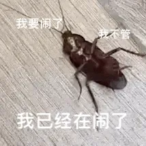 我要闹了我不管我已经在闹了(蟑螂表情包)