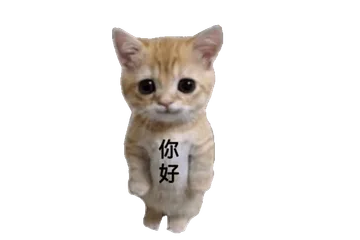 你好