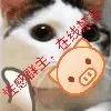 性感群主，在线陪聊