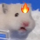 鼠鼠发火动图表情包