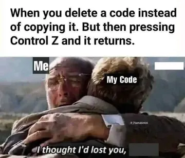 Pure Joy Of Getting Your Code Back After Control Z