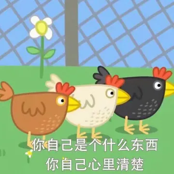 佩奇8