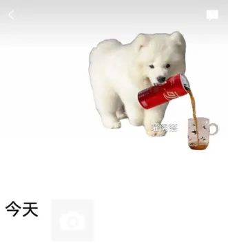 小狗倒饮料朋友圈背景图