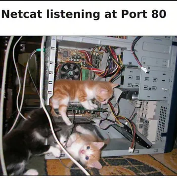 Netcat Listening At Port 80