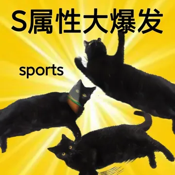 S属性大爆发sports