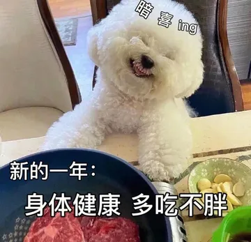 暗喜ing新的一年:身体健康多吃不胖