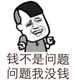 钱不是问题.问题我没钱