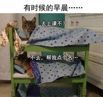 学校宿舍里的日常，和舍友的对话简直了