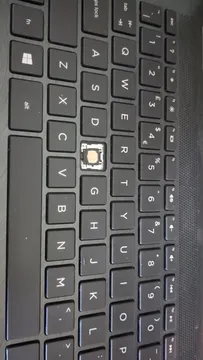 My Cat Just Jumped On My Laptop And Ripped Off The F. Can I Get An F In The Chat