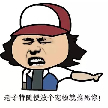 老子特随便放个宠物就搞死你！