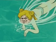 斗图gif。