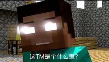 我的世界